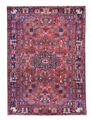Gorg Hedari 475281